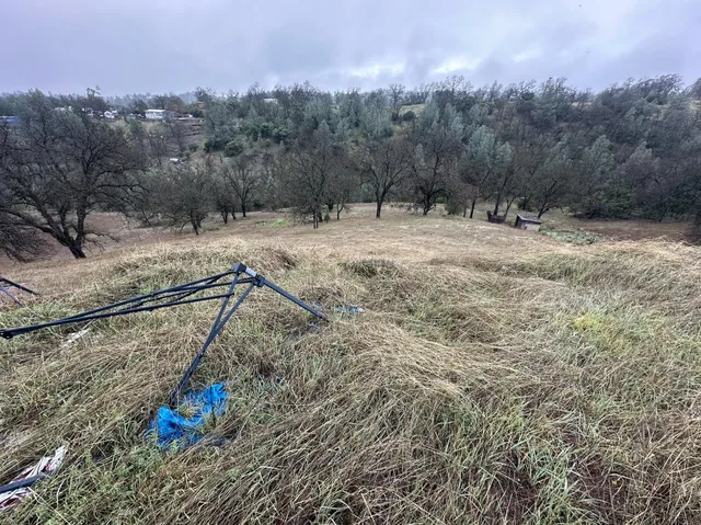 a view of a covered with trees in the background