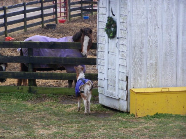 12044 Atlantic Road Temperanceville, VA 23442 - Photo 66 of 70