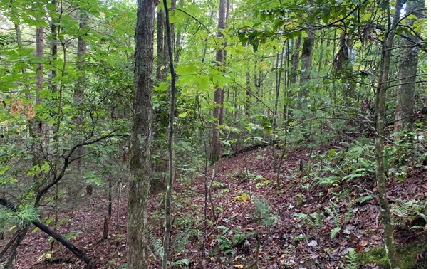 33 Atoah Loop Murphy, NC 28906 - Photo 2 of 4 Additional View