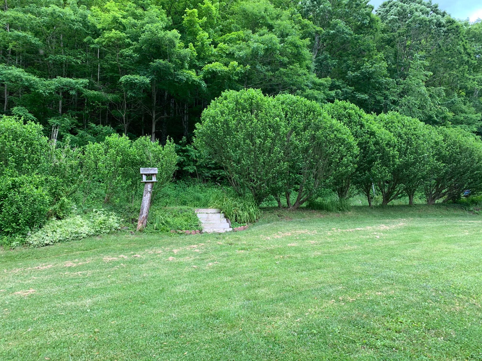 4904 Ramp Road Sandstone, WV 25985 - Photo 31 of 35 Gallery Image 31