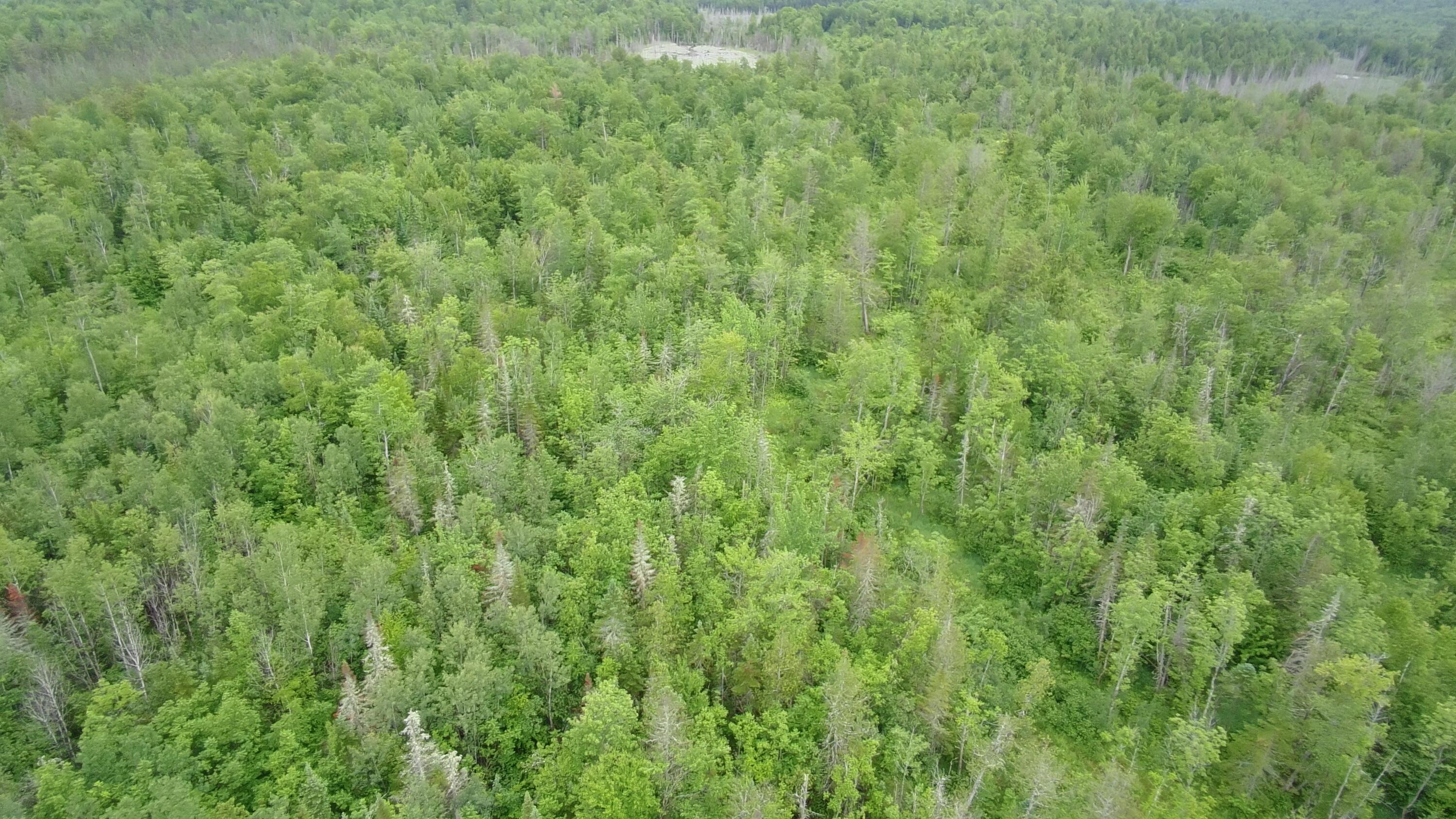 Tbd Trafton Road Parkman, ME 04443 - Photo 23 of 27 4463563_101DRONE_SING0148