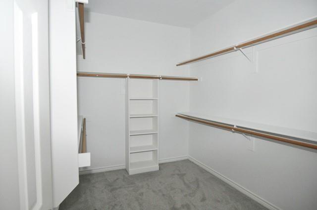 521 Mustang Ridge Drive Murphy, TX 75094 - Photo 21 of 31 a view of an empty walk in closet