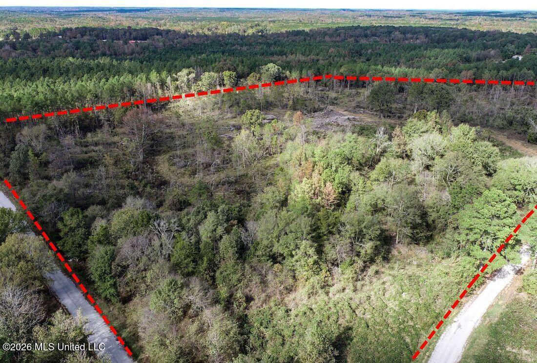 154 County Road Tillatoba, MS 38961 - Photo 12 of 58 4kgrdn52b-orig_orig