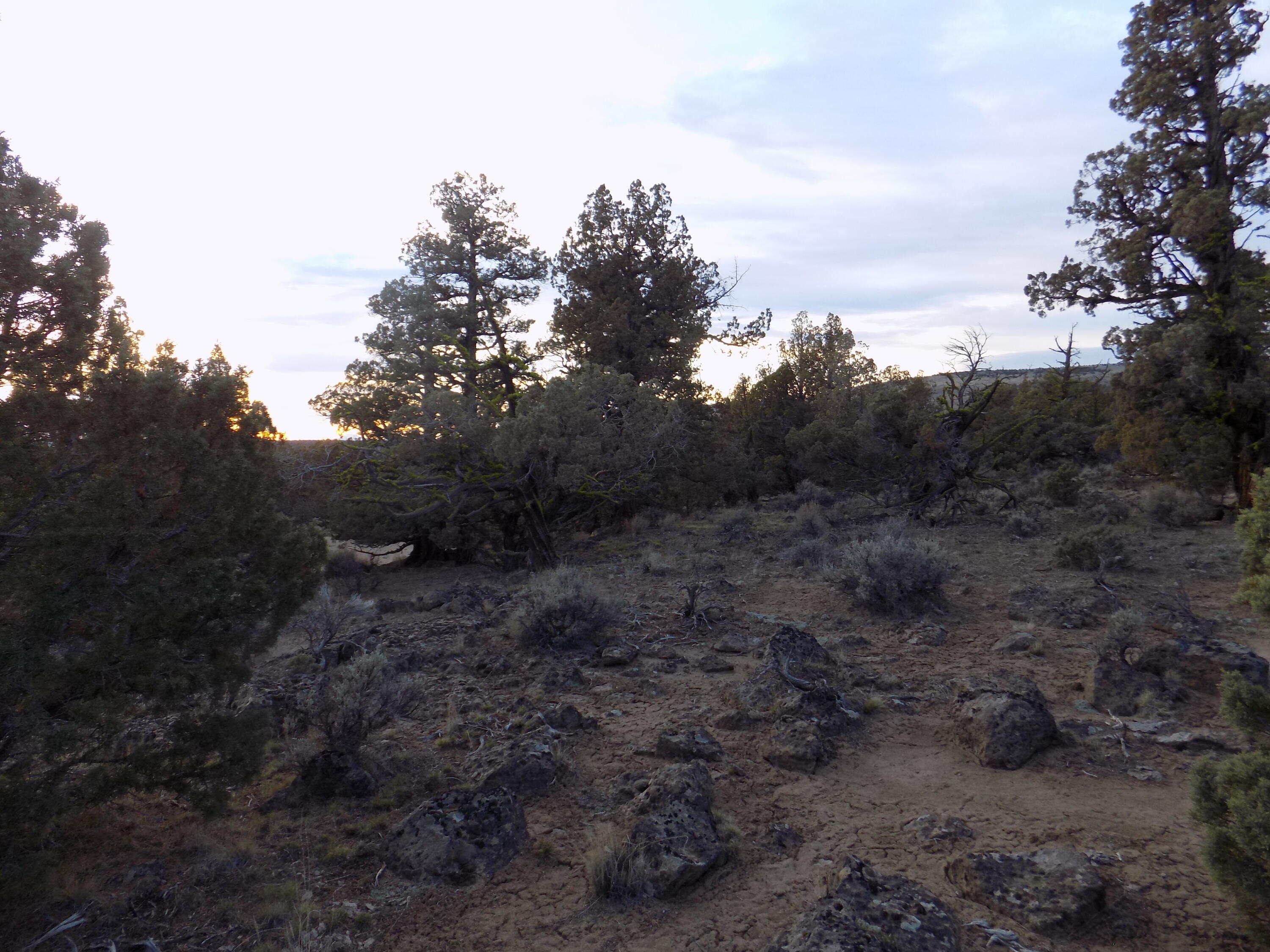1400 Golden View Ranch Bend Bend, OR 97701 - Photo 11 of 13 DSCN6158