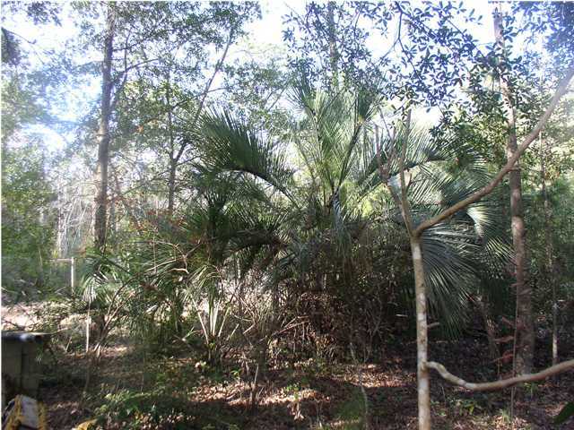 Xx Coochee Road Santa Rosa Beach, FL 32459 - Photo 2 of 2 Gallery Image 2