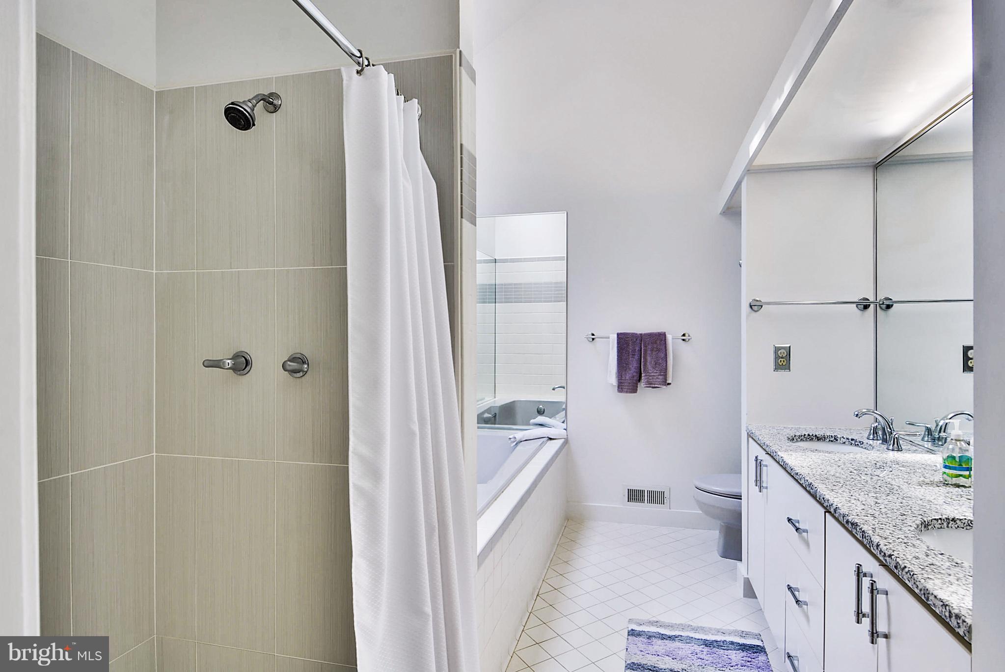 726 Intrepid Way Davidsonville, MD 21035 - Photo 18 of 30 Master Bath enSuite