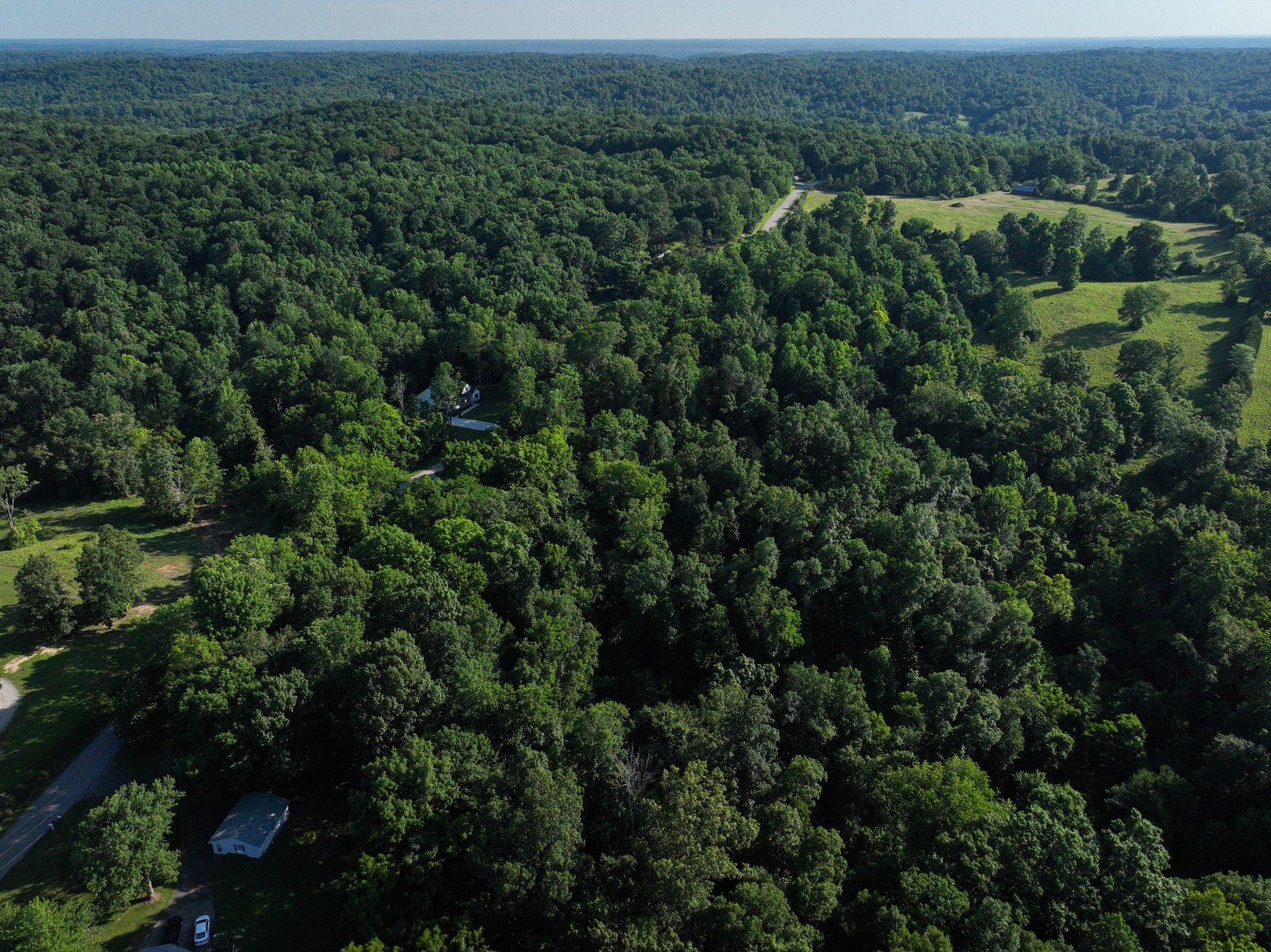 8 Shiloh Canaan Road Palmyra, TN 37142 - Photo 6 of 8 an aerial view of green landscape with trees houses and mountain view
