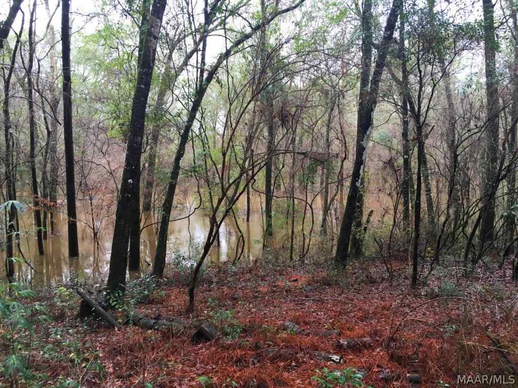 30 Acres Mound Road Black, AL 36314 - Photo 16 of 16 Gallery Image 16