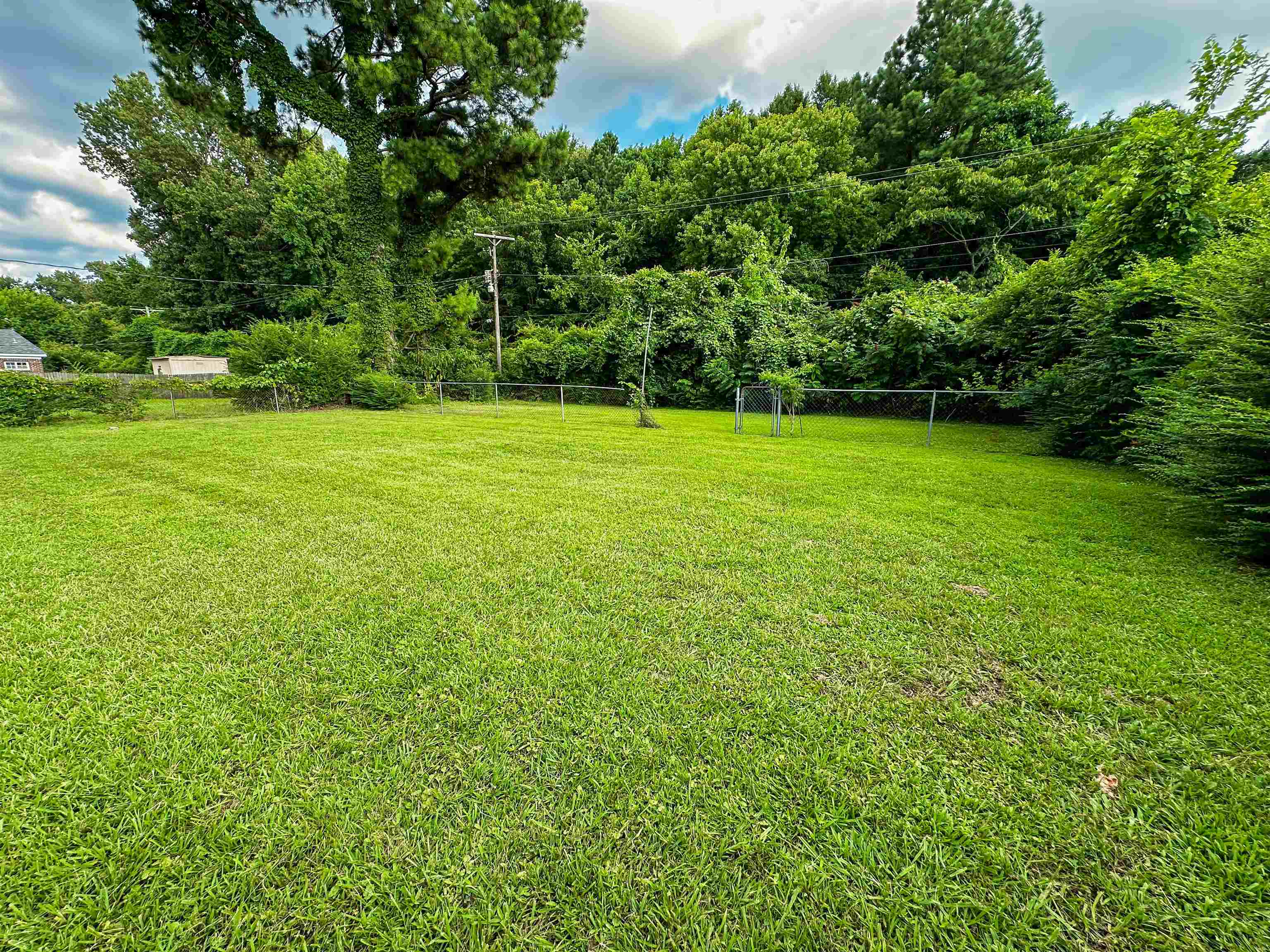 697 Shell Ln Avenue Memphis, TN 38109 - Photo 17 of 20 View of yard