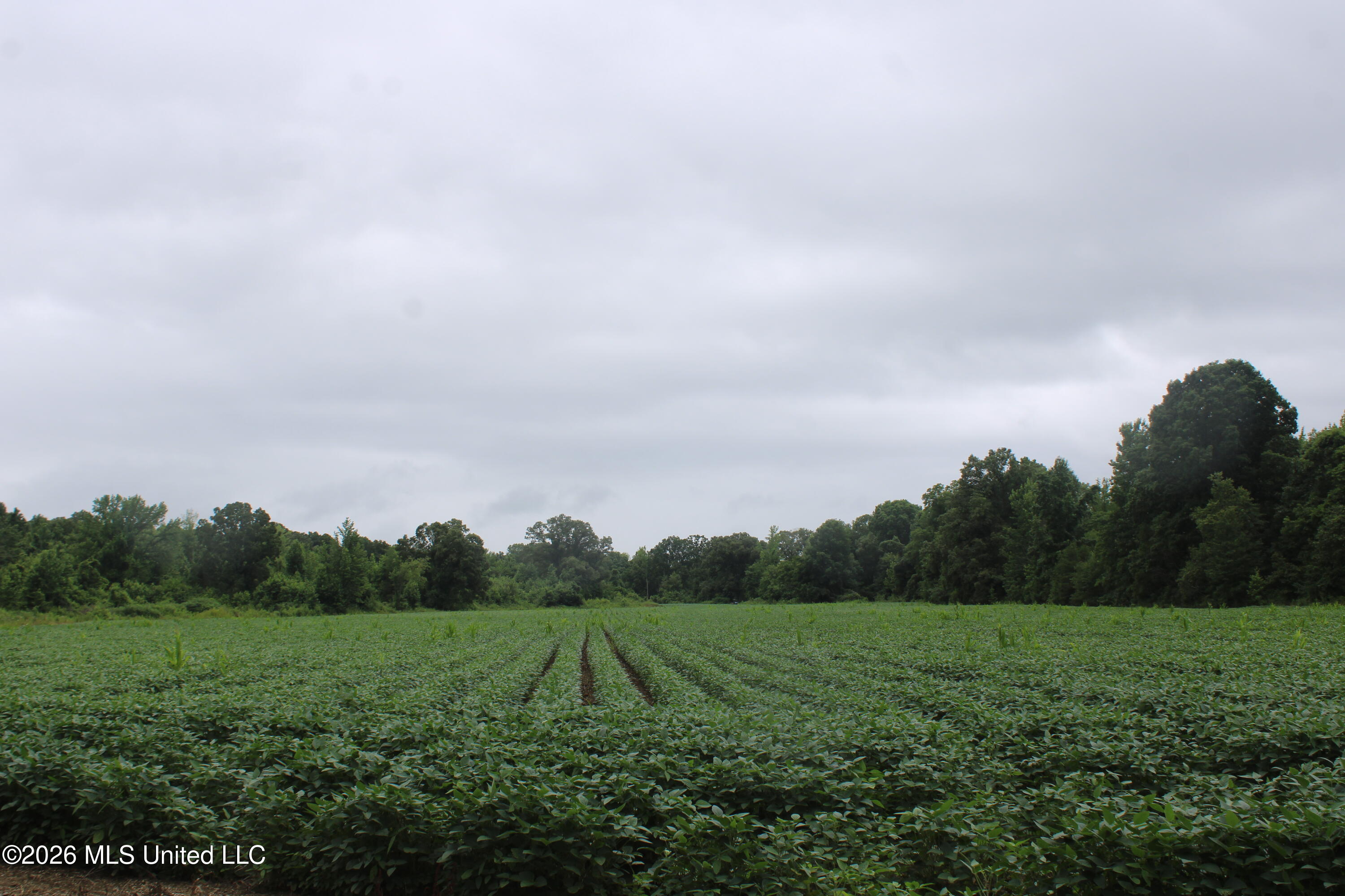 1500 Allen Corner Road Lamar, MS 38642 - Photo 1 of 17 IMG_7970