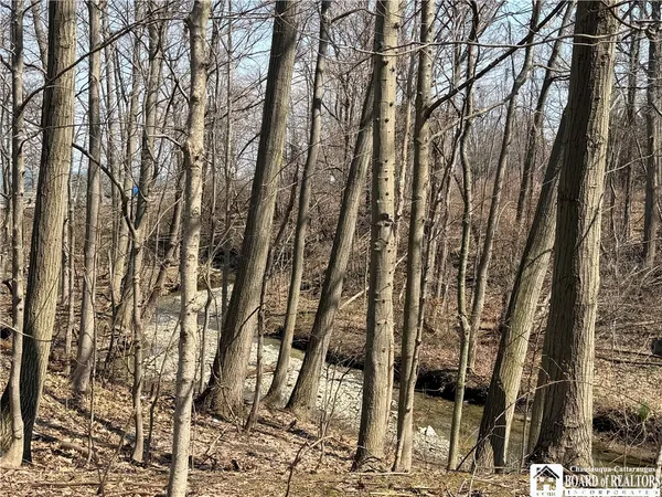 $99,900 | 1985 Route 5 Sheridan Ny 14136, Silver Creek, NY 14136