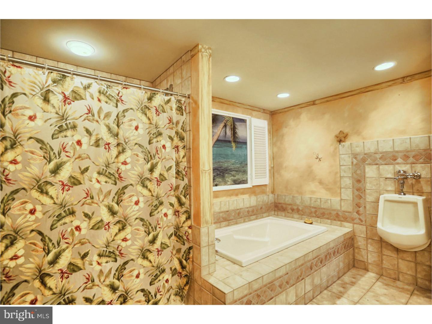 130 Overlook Road Morgantown, PA 19543 - Photo 20 of 25 Bathroom