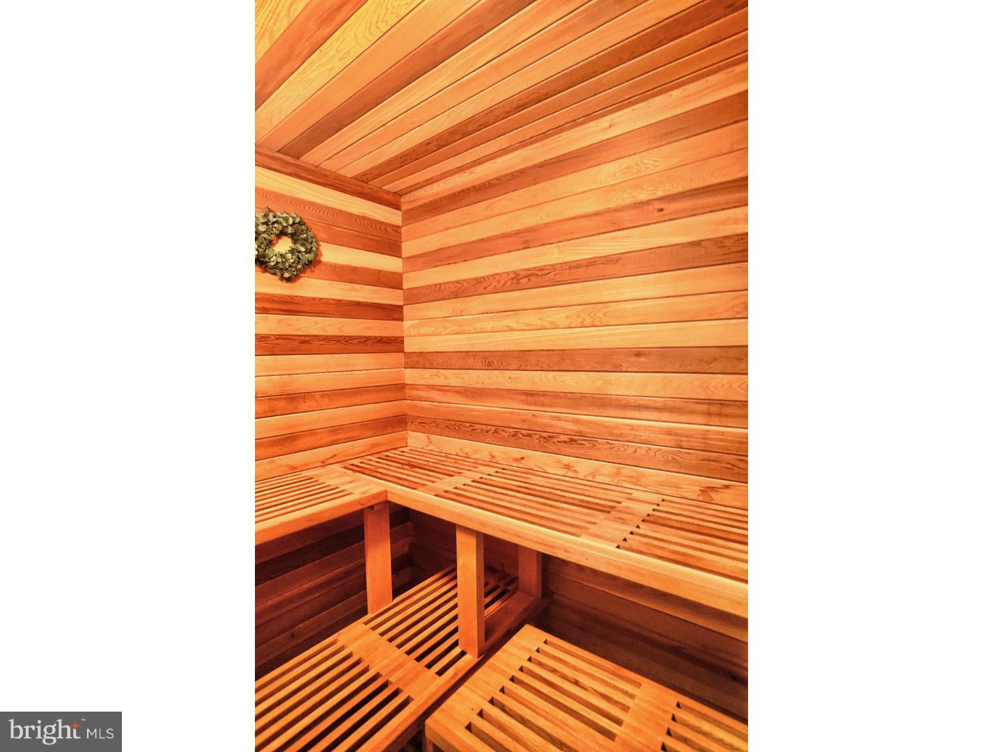 130 Overlook Road Morgantown, PA 19543 - Photo 21 of 25 Sauna