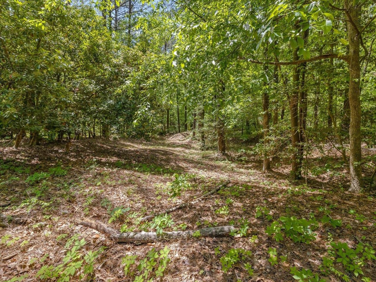 448 River Point Road Moncure, NC 27559 - Photo 38 of 57 Photo 38