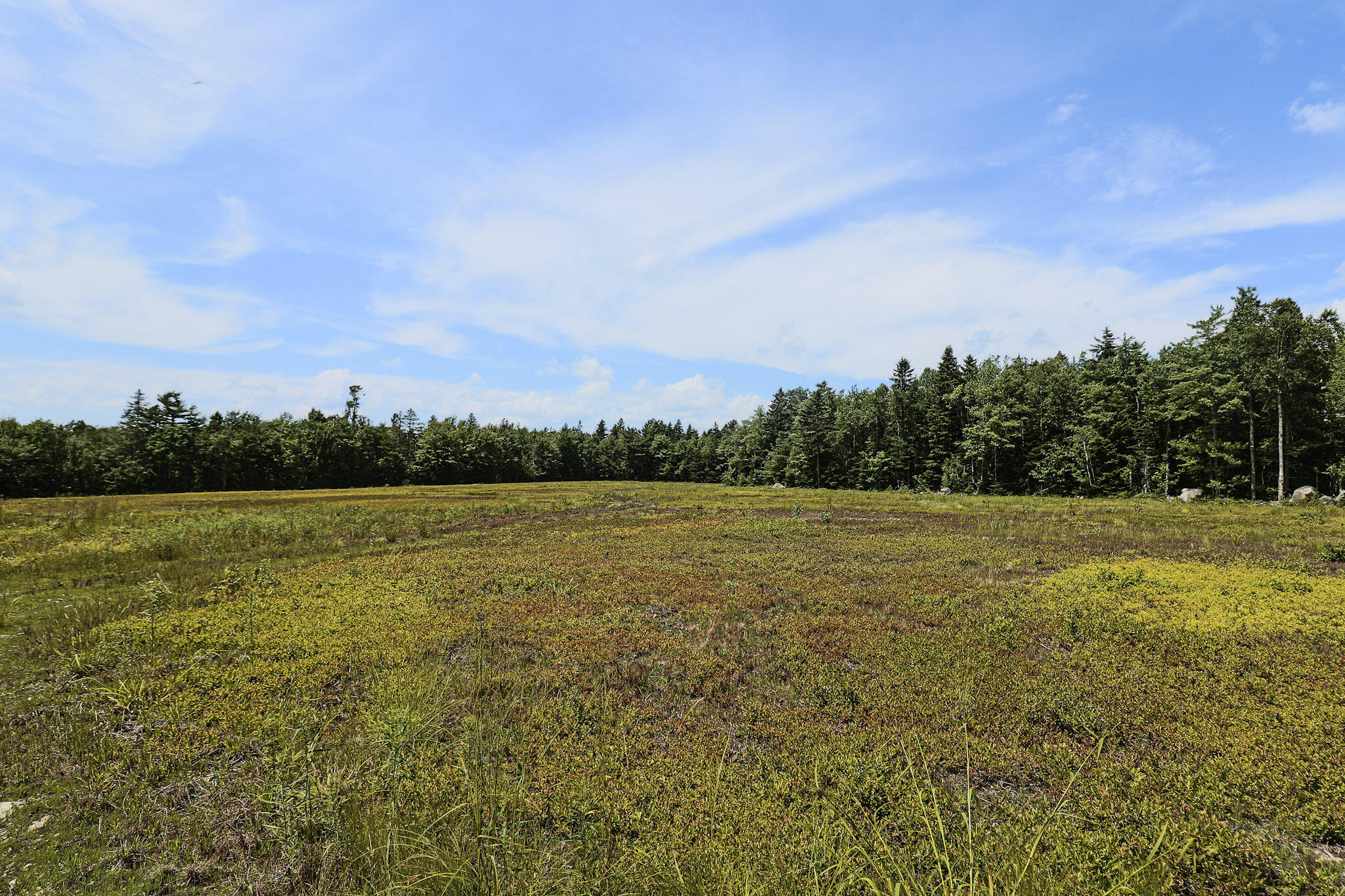 Map13-lot9 Martins Ridge Road Franklin, ME 04634 - Photo 17 of 39 Lot 9