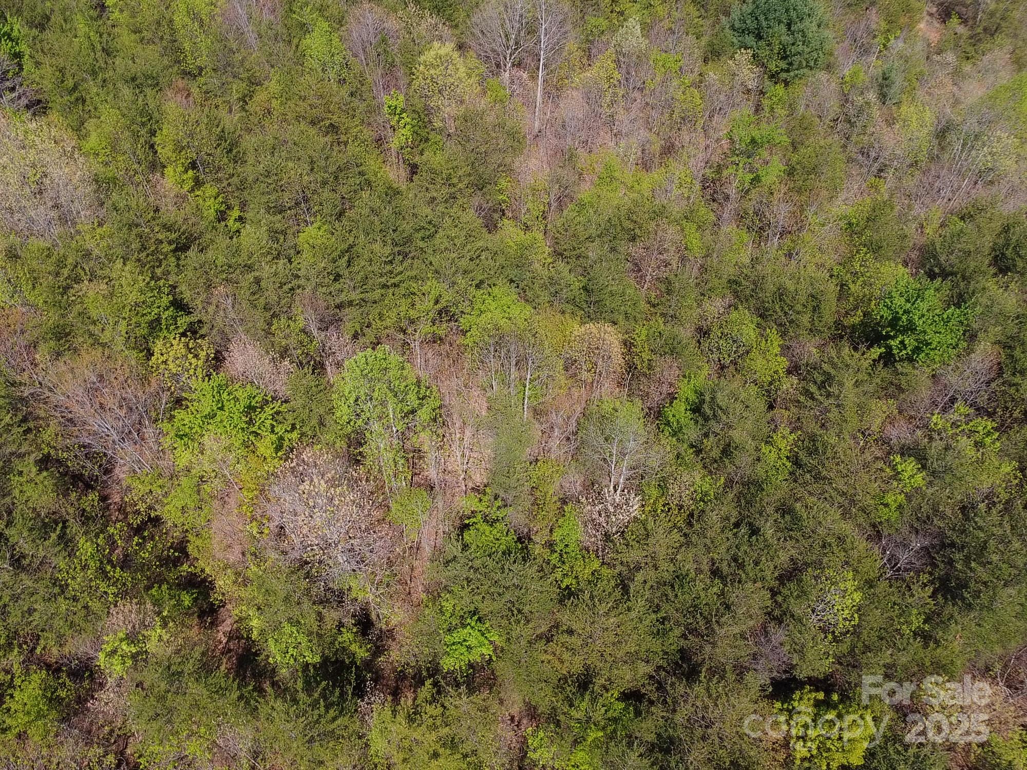 0 Snowhill Church Road Morganton, NC 28655 - Photo 37 of 40