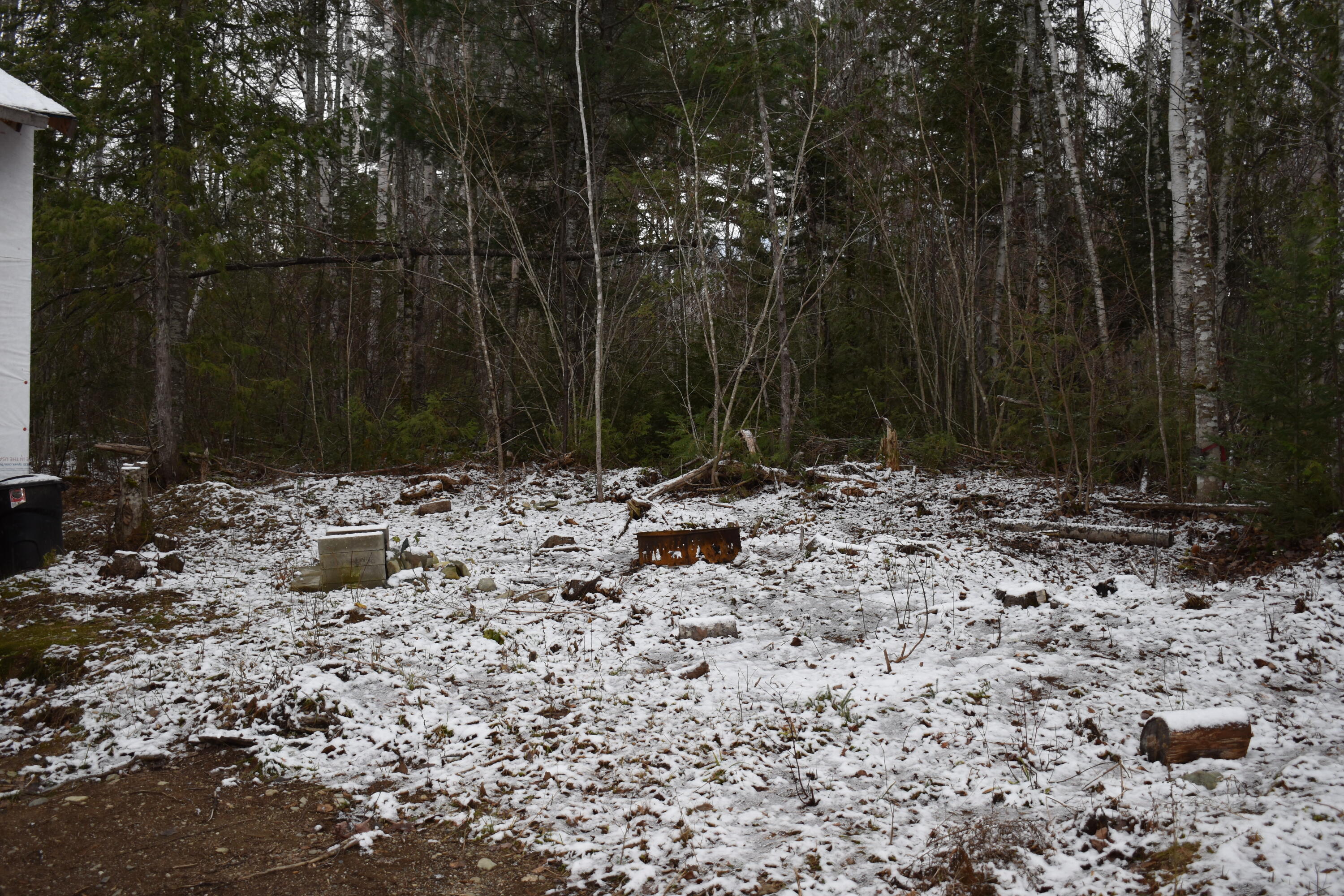 Lot 4 McGinley Road Springfield, ME 04487 - Photo 6 of 34 DSC_0477