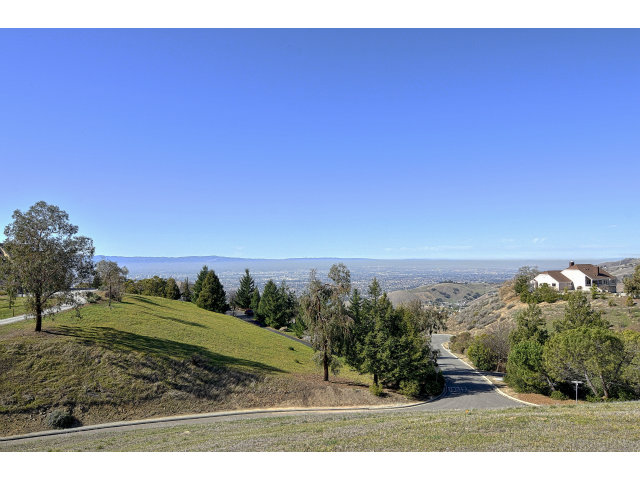 3023 3 Springs Road Mount Hamilton, CA 95140 - Photo 3 of 24 a view of a yard with an trees