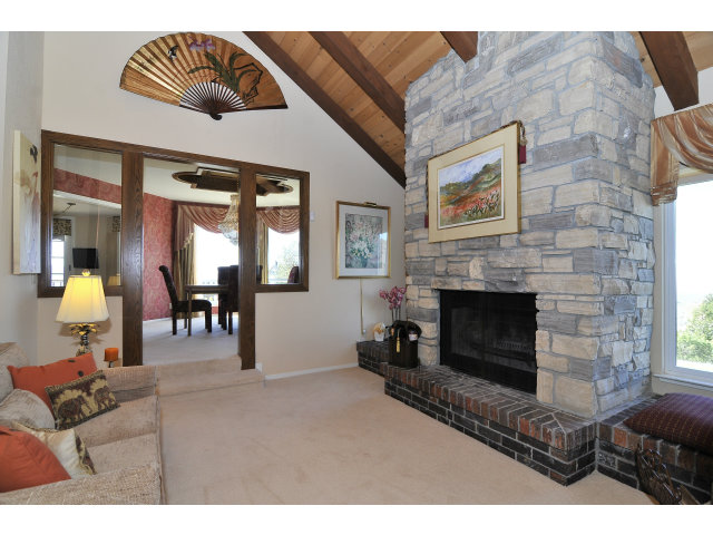 3023 3 Springs Road Mount Hamilton, CA 95140 - Photo 10 of 24 a living room with furniture and a fireplace