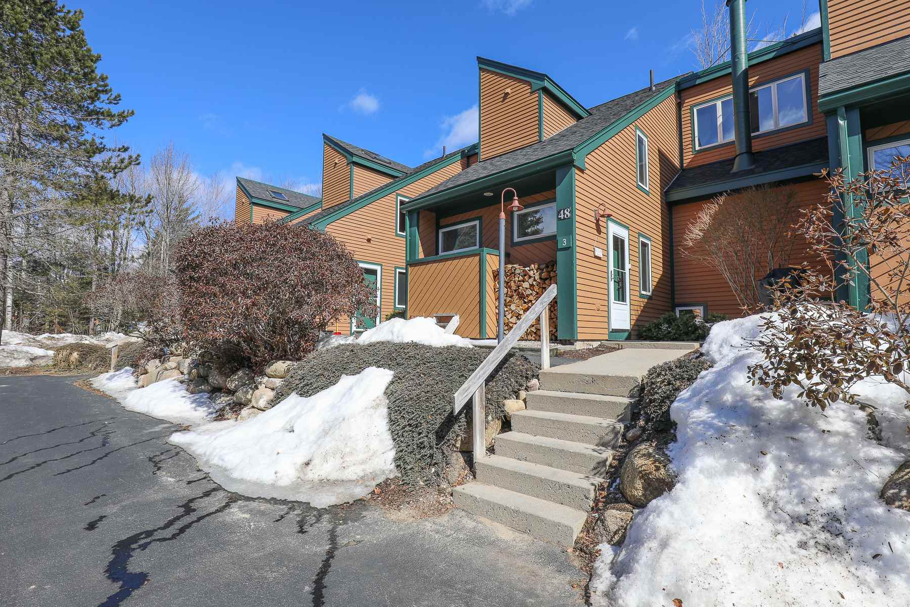 48 Tyler Spring Way, Unit 3 Waterville Valley, NH 03215 - Photo 2 of 27
