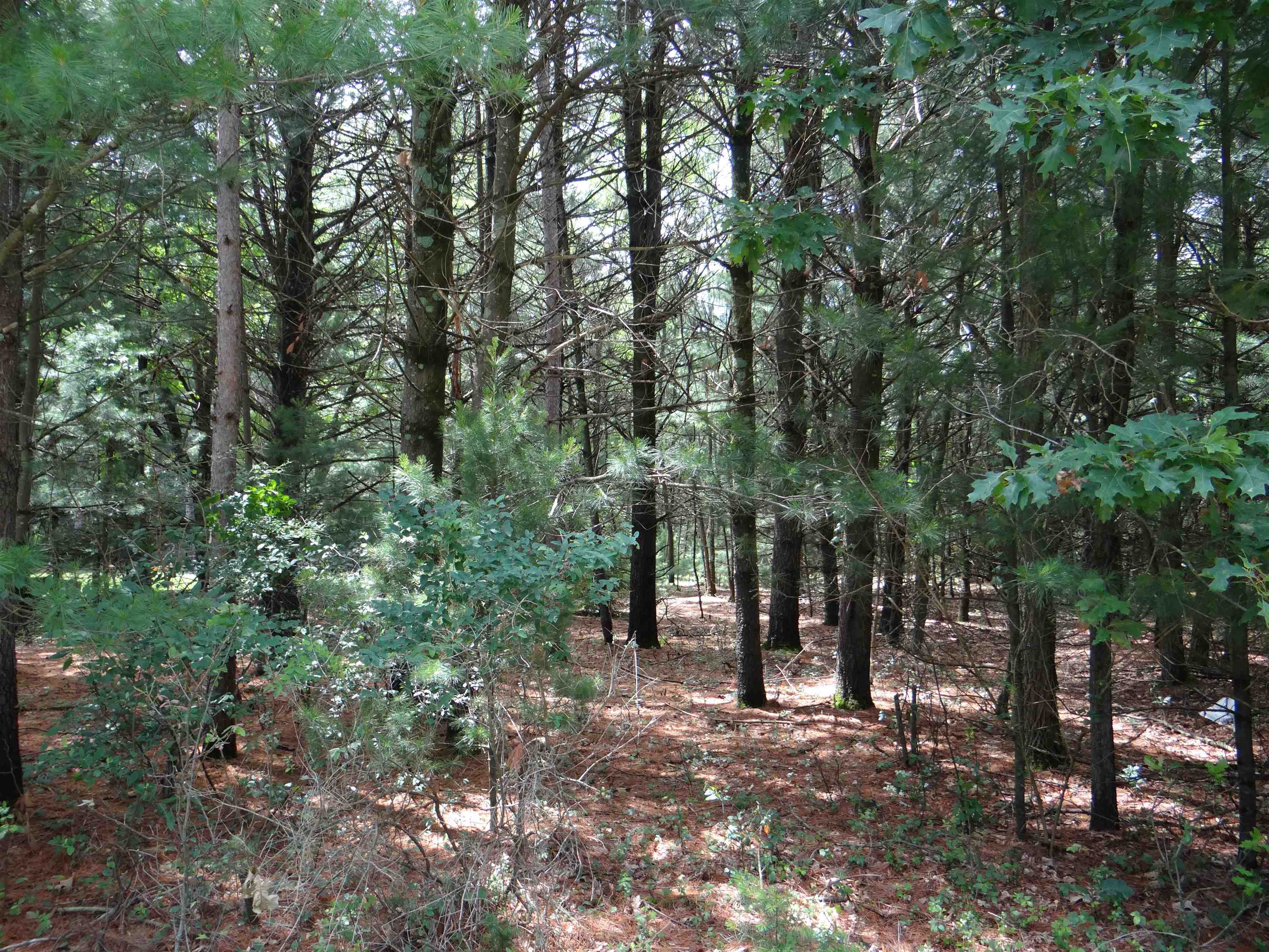 N1771 County Rd EE Redgranite, WI 54970 - Photo 31 of 33