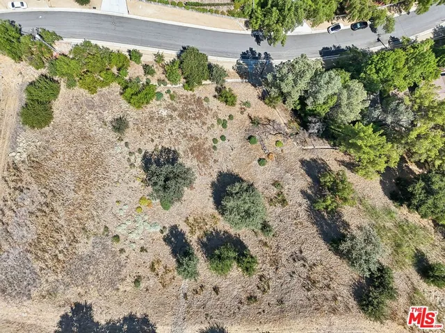 a view of a garden with a pathway