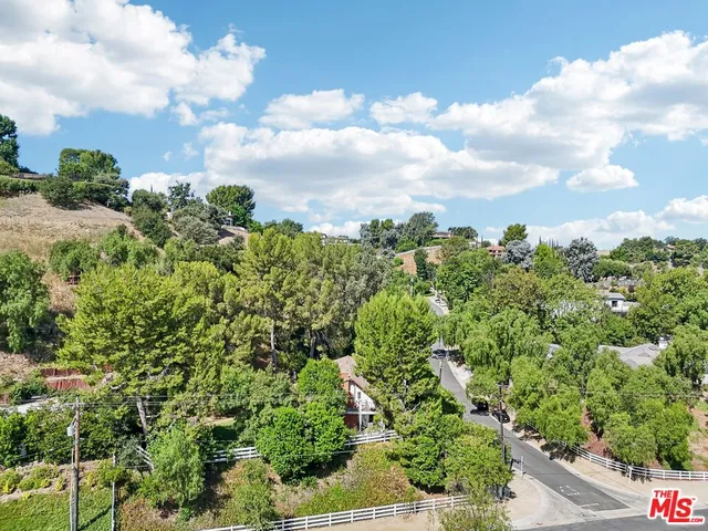 a view of a garden with plants