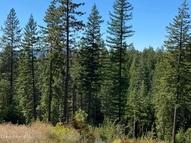 $319,000 | Nna Nna Stone Road, Blanchard, ID 83804