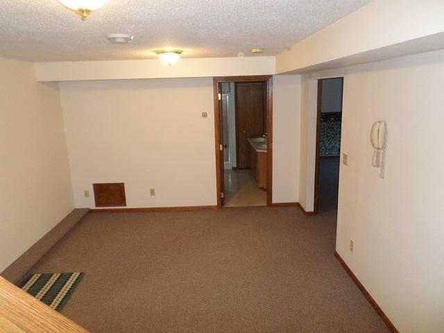 202 Buse Avenue Northeast Red Lake Falls, MN 56750 - Photo 30 of 58