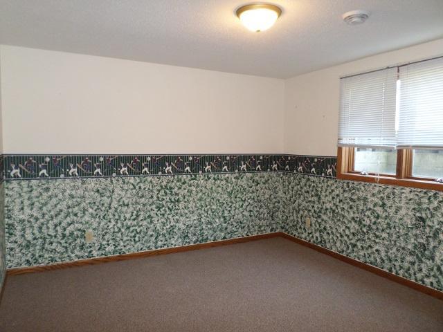 202 Buse Avenue Northeast Red Lake Falls, MN 56750 - Photo 41 of 58