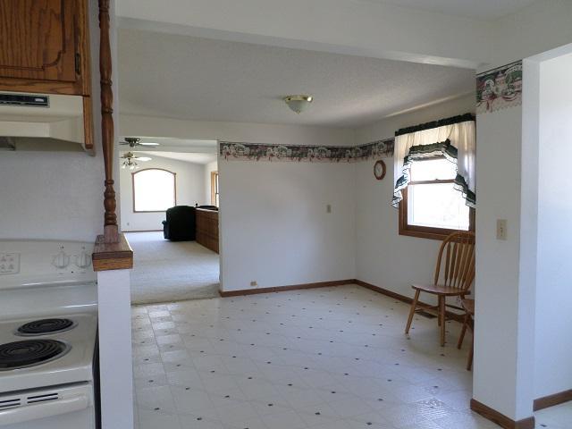 202 Buse Avenue Northeast Red Lake Falls, MN 56750 - Photo 9 of 58