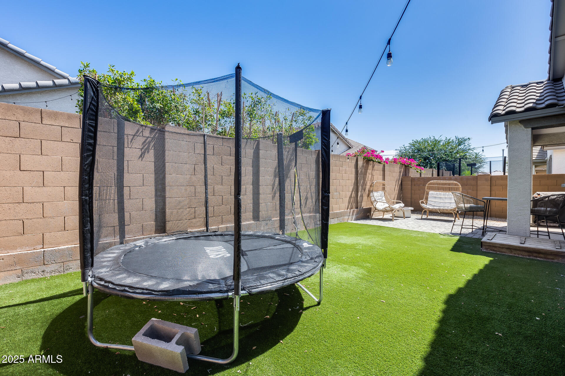 14344 West Hackamore Drive Surprise, AZ 85387 - Photo 39 of 41 a view of backyard with swimming pool