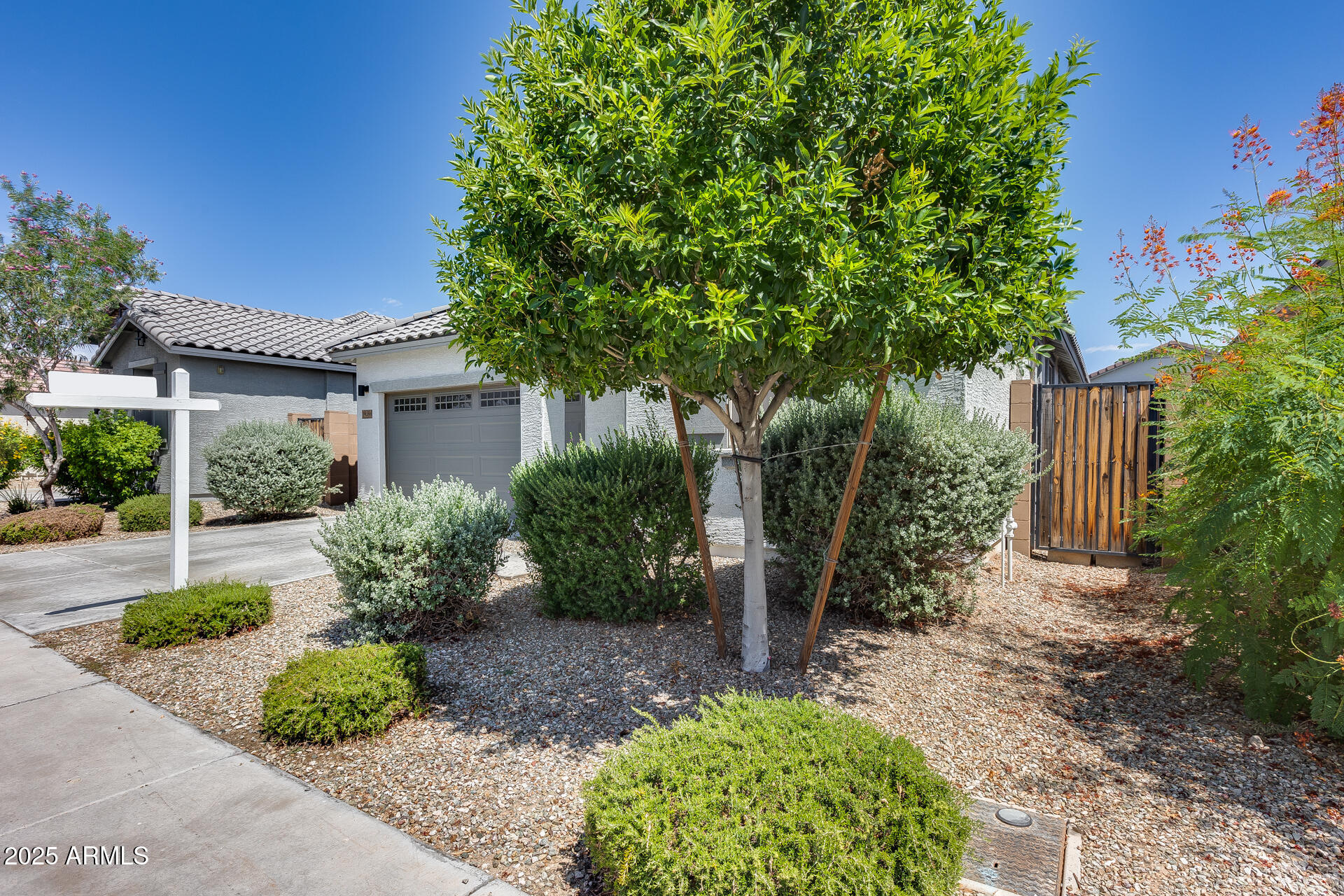 14344 West Hackamore Drive Surprise, AZ 85387 - Photo 7 of 41 a front view of a house with garden