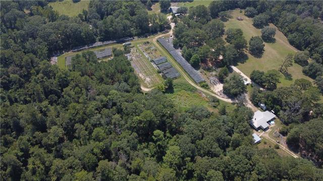 8.8-acres Josephs Road Folsom, LA 70437 - Photo 12 of 12