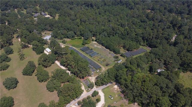 8.8-acres Josephs Road Folsom, LA 70437 - Photo 10 of 12