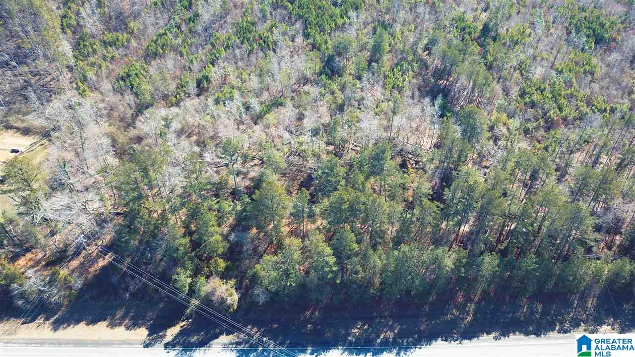 0 Highway 75, Unit 29 38 Oneonta, AL 35121 - Photo 27 of 30