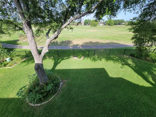 a view of a trees in a yard