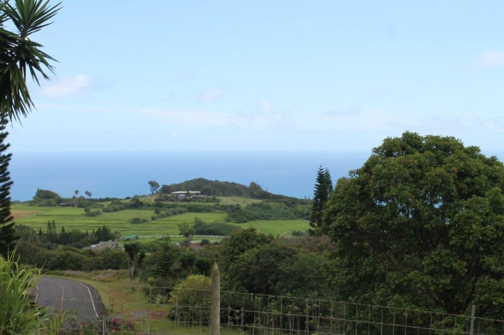 0 Kaukini Loop, Unit LOT 1B3 Wailuku, HI 96793 - Photo 1 of 30 a view of a city and a mountain view
