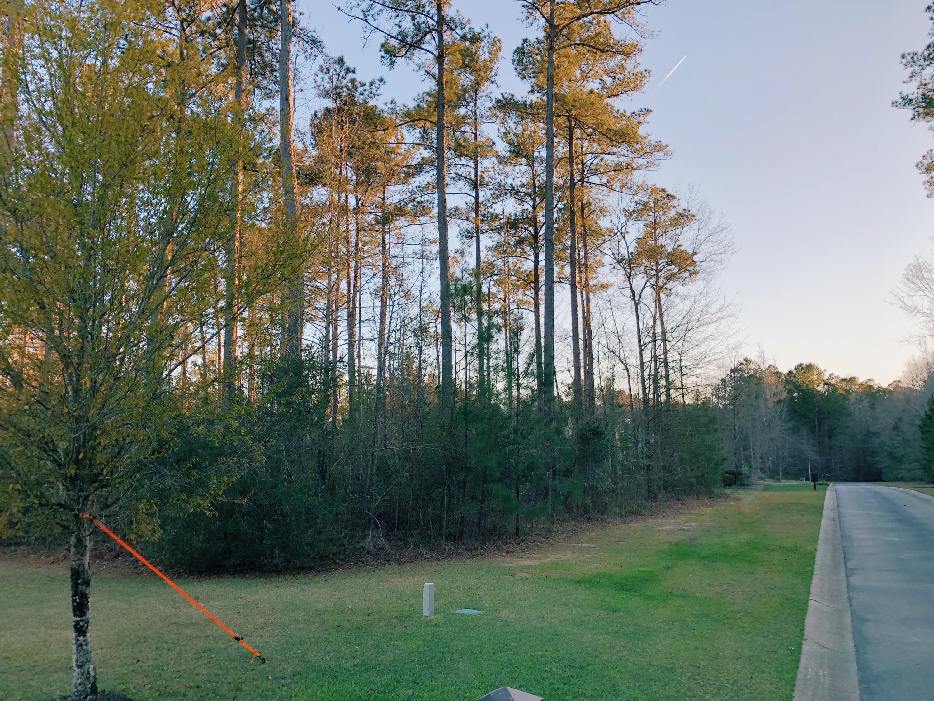 2080 Briar Bend Road, Unit LOT 14 Ridgeville, SC 29472 - Photo 4 of 14 2080 Briar Bend Road Street view