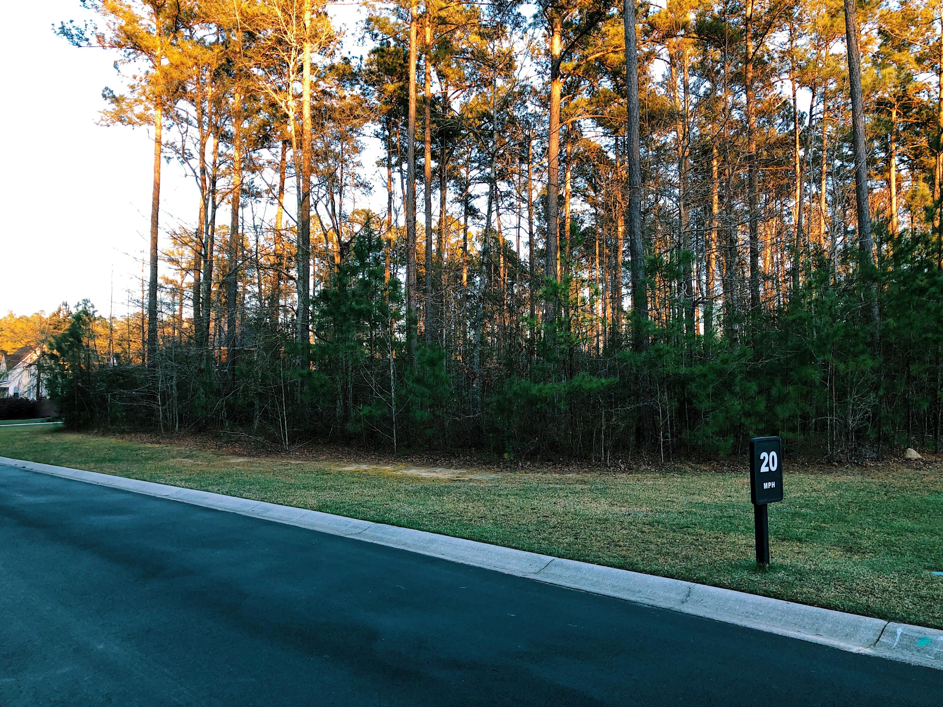 2080 Briar Bend Road, Unit LOT 14 Ridgeville, SC 29472 - Photo 9 of 14 Street view of lot 14
