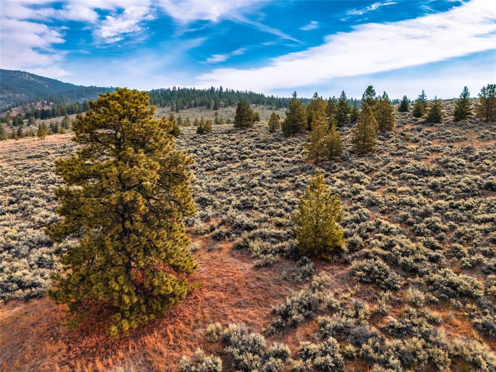 Lot 10 Sapphire Ridge Florence, MT 59833 - Photo 19 of 23 Gallery Image 19