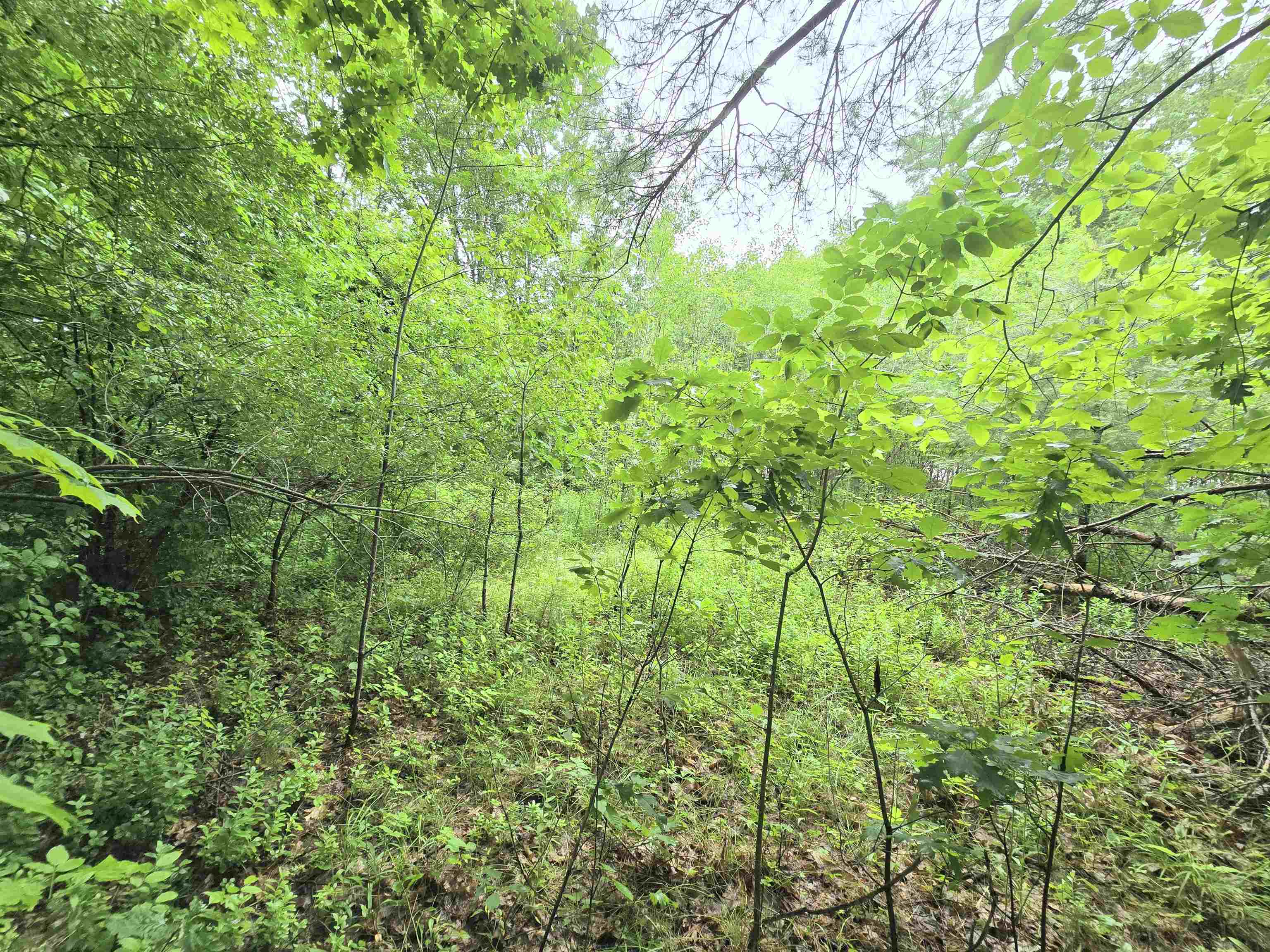 0 Estes Road Rochester, NH 03839 - Photo 12 of 19