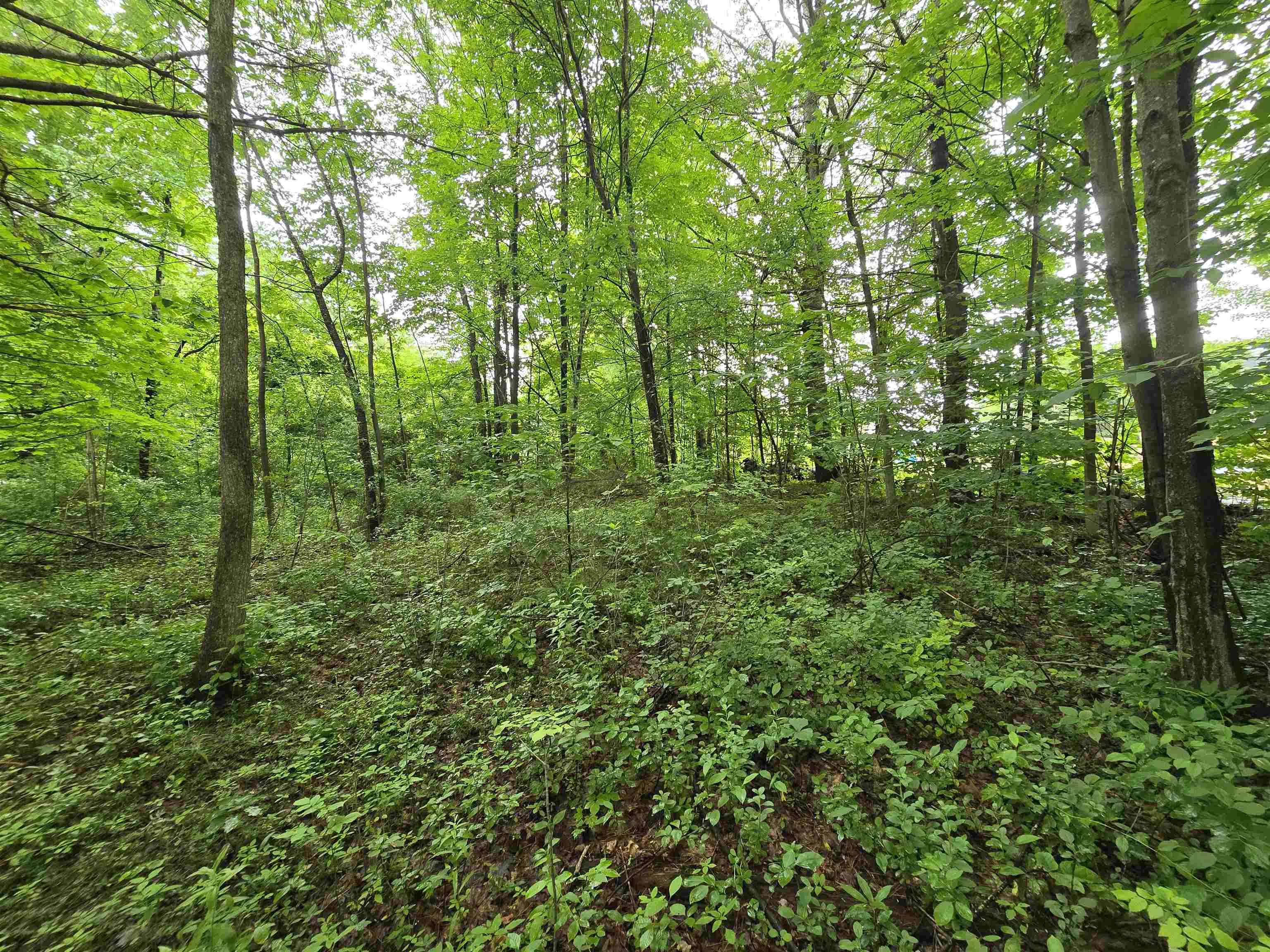 0 Estes Road Rochester, NH 03839 - Photo 13 of 19