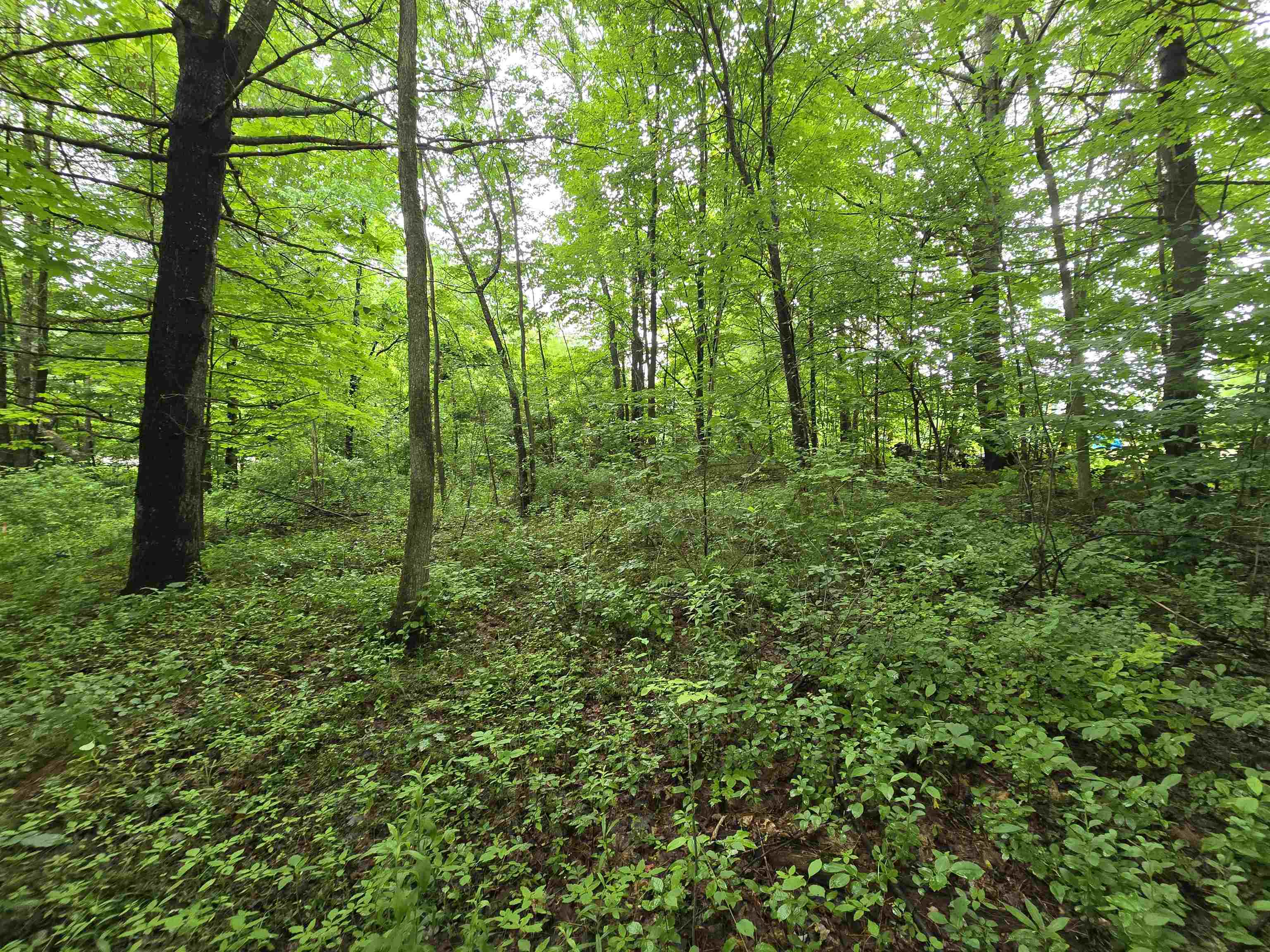 0 Estes Road Rochester, NH 03839 - Photo 14 of 19