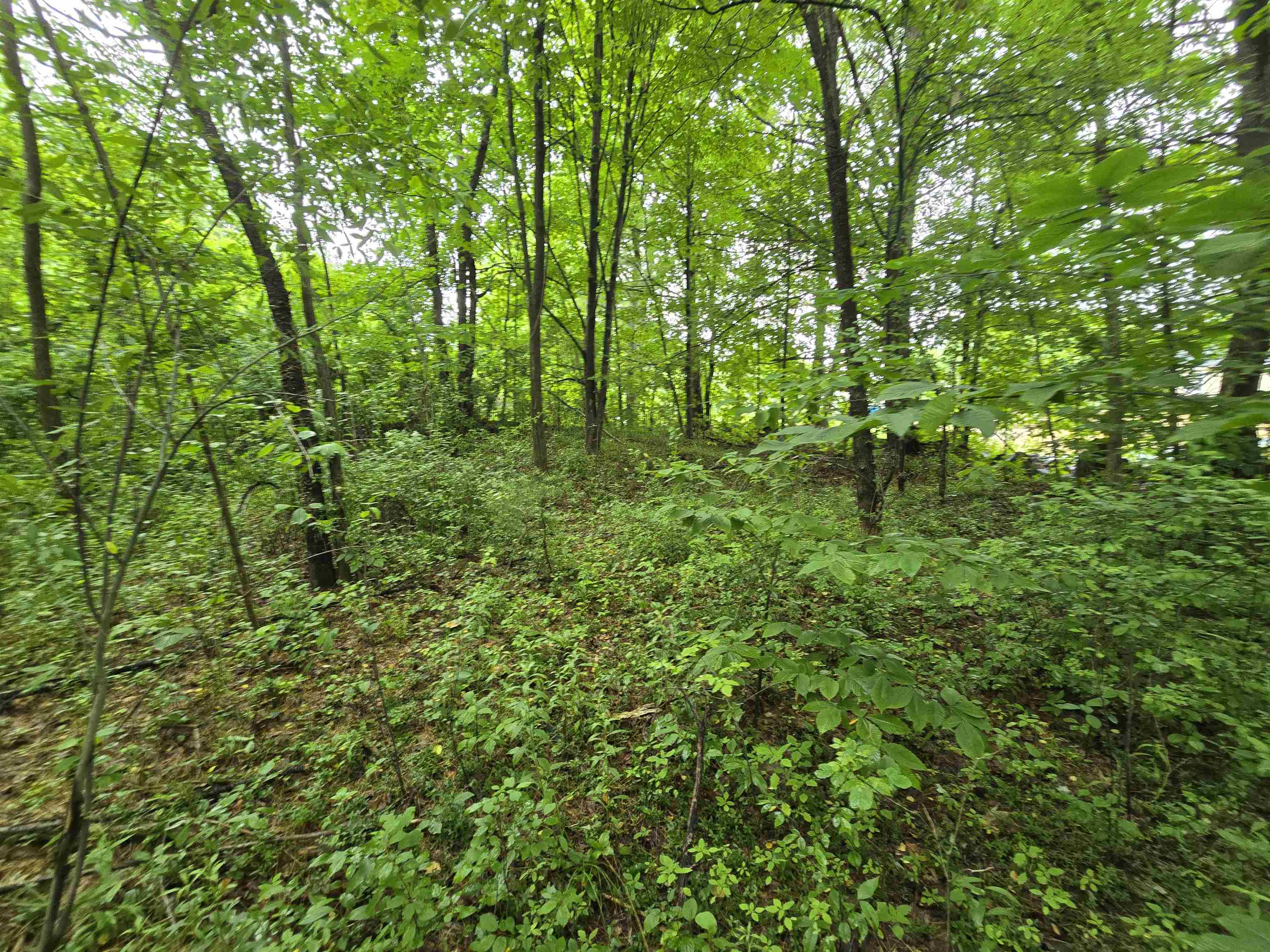 0 Estes Road Rochester, NH 03839 - Photo 15 of 19