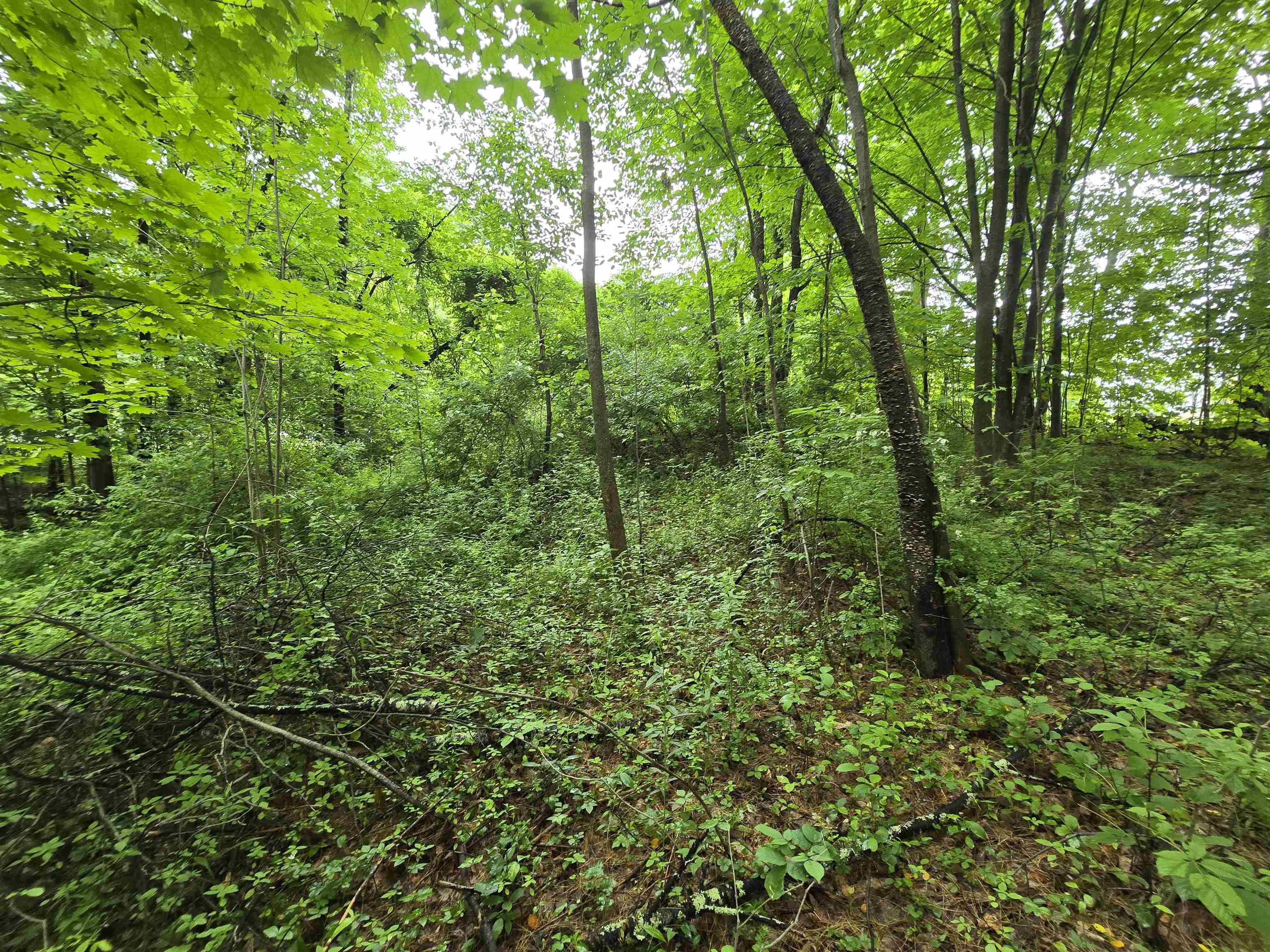 0 Estes Road Rochester, NH 03839 - Photo 17 of 19