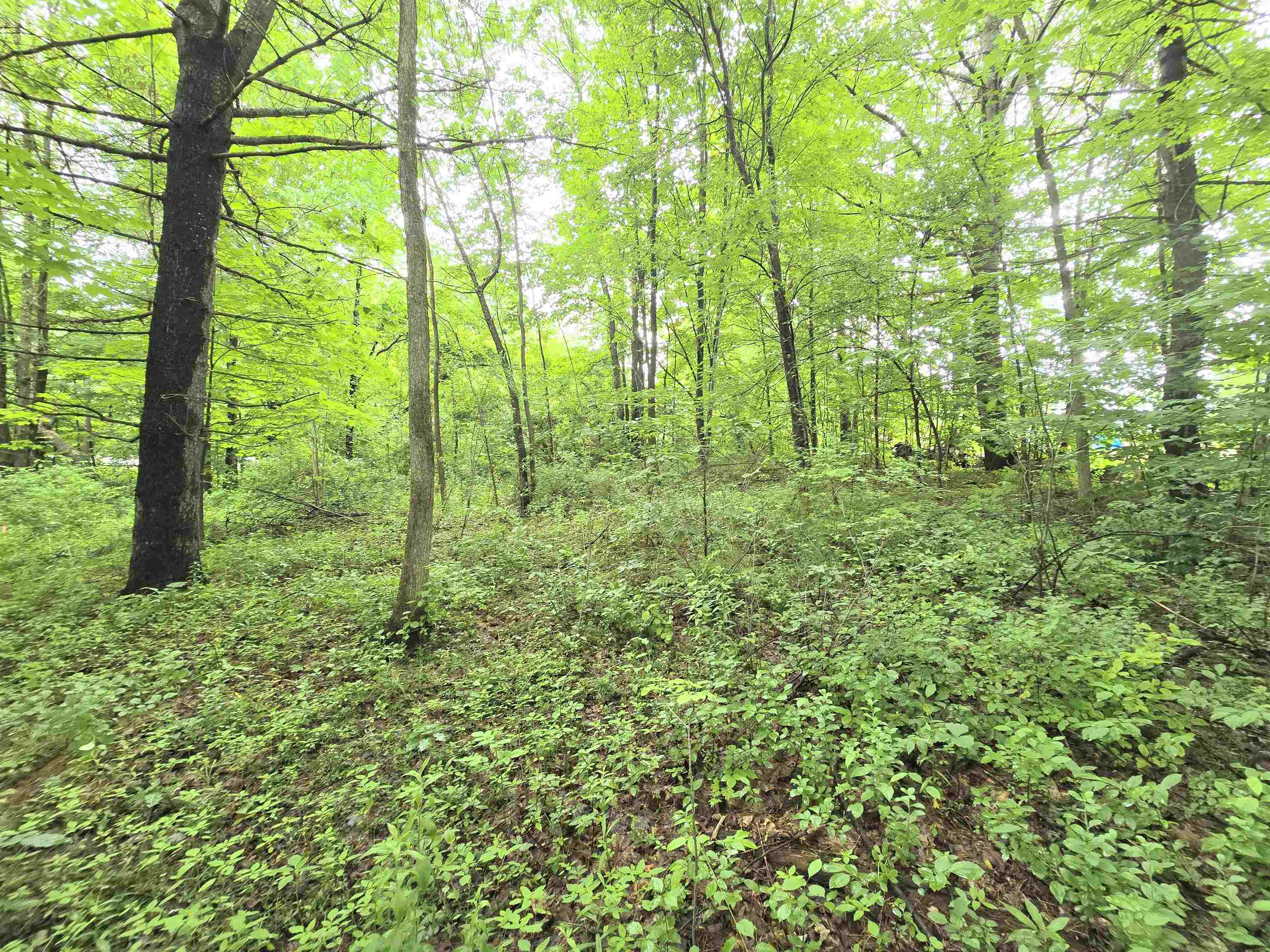 0 Estes Road Rochester, NH 03839 - Photo 18 of 19