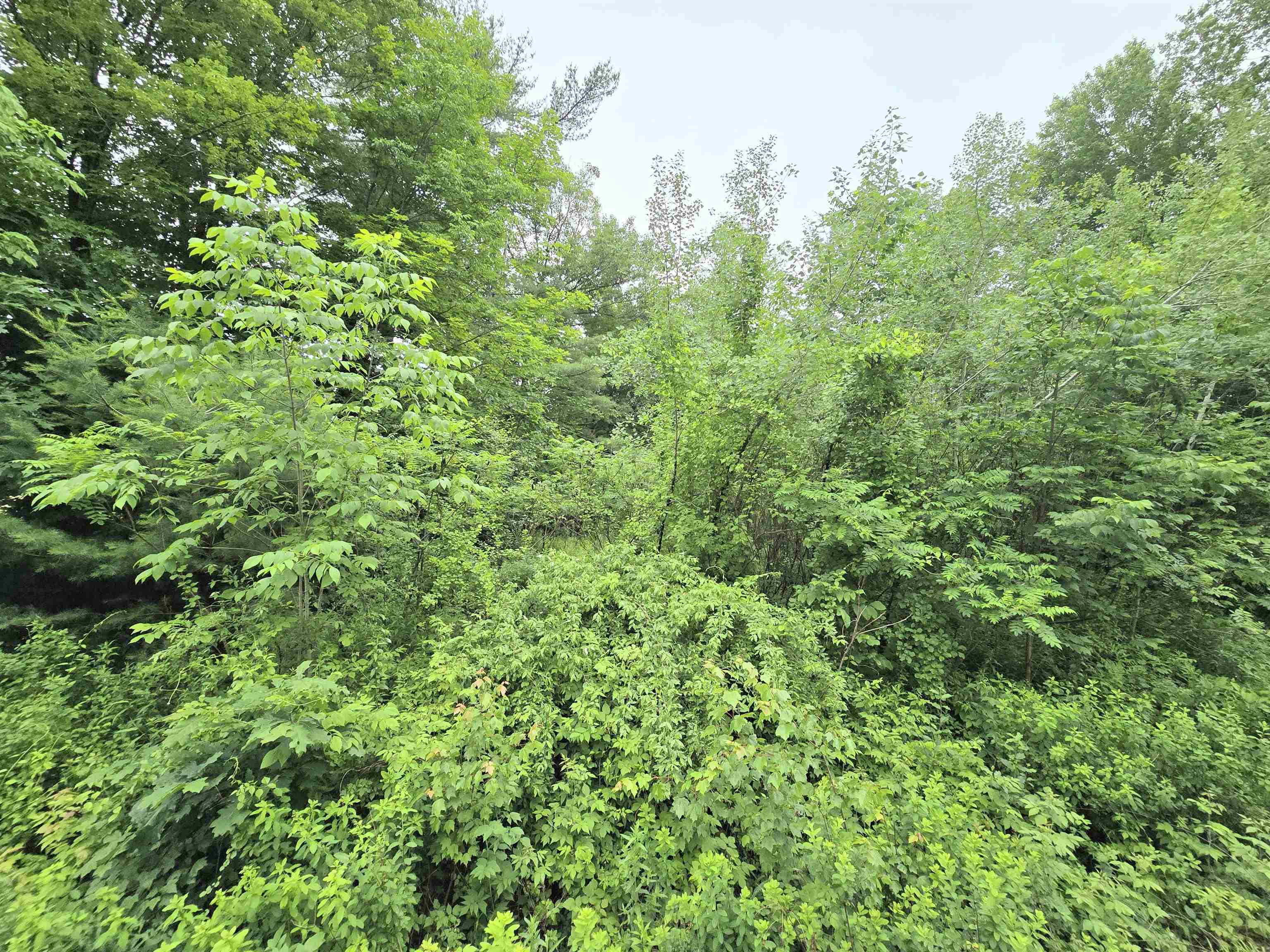 0 Estes Road Rochester, NH 03839 - Photo 19 of 19