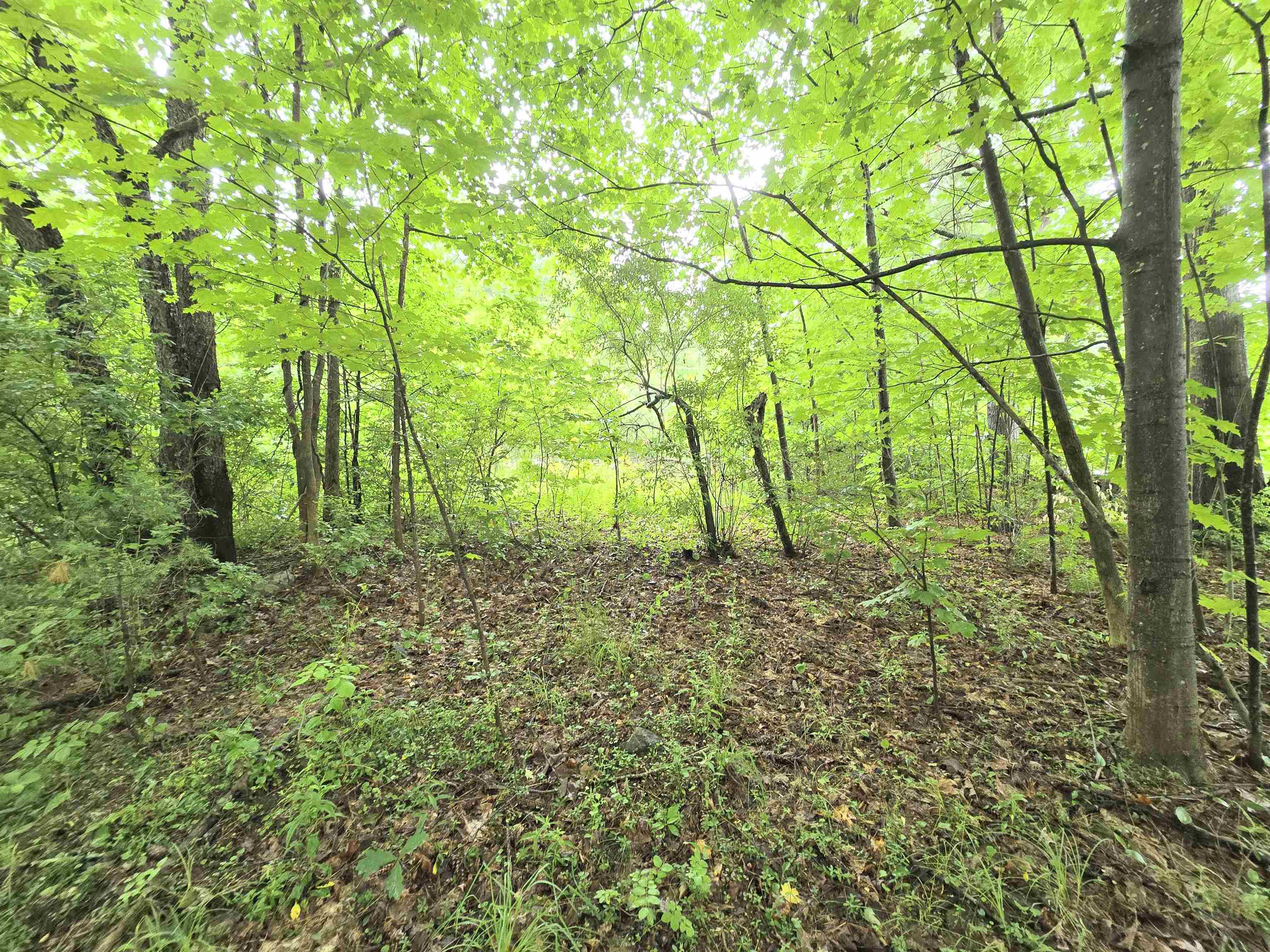 0 Estes Road Rochester, NH 03839 - Photo 8 of 19