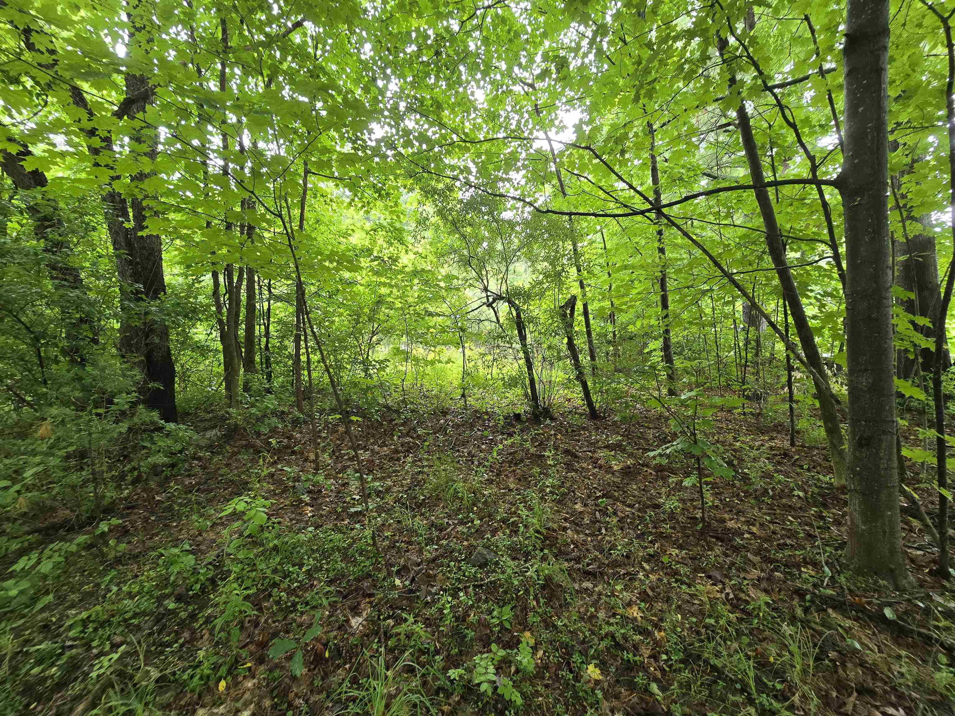 0 Estes Road Rochester, NH 03839 - Photo 9 of 19